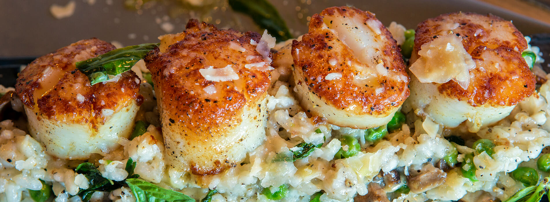 Try Our “Day Boat Sea Scallops”!